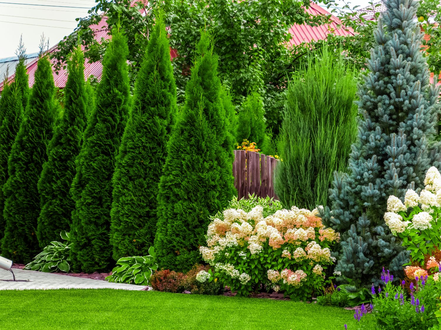 فضای سبزی و غیر مثمر
